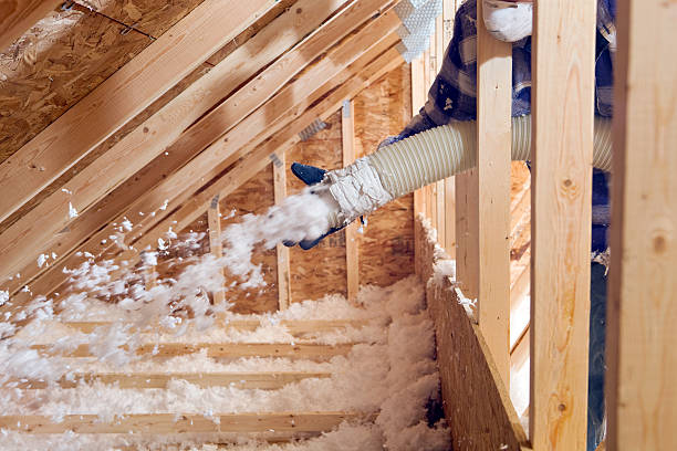 Types of Insulation We Offer in Plains, TX